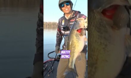 Bassmaster – Matty Wong with a 6+ on a Glide Bait