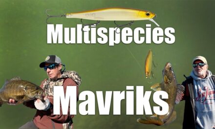 Multispecies Mavriks