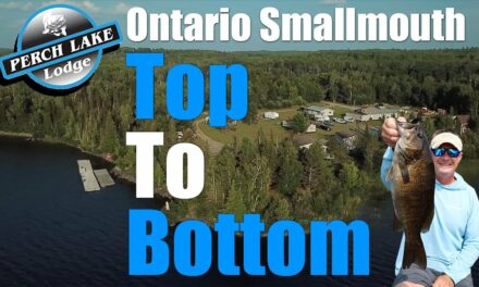 Ontario Smallmouth Top to Bottom