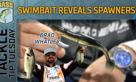 Bassmaster – REVEAL and CATCH shallow spawners with this technique
