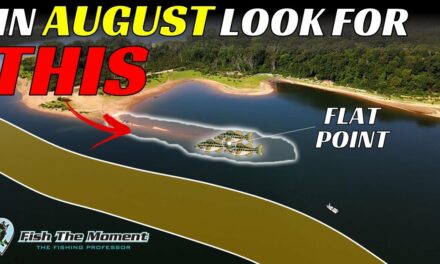 Stop Missing These OBVIOUS August Fishing Areas | 2 Hours of Uncut Offshore Bass Fishing
