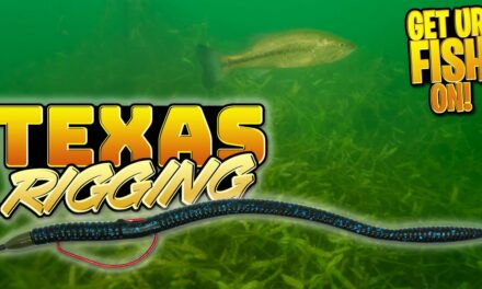 Texas Rigging Soft Plastics for Bass Fishing – Beginner Tips & Tricks