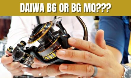 Salt Strong | – What's The Better Reel: The Daiwa BG or BG MQ?
