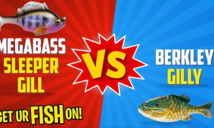 Which Bass Fishing Bait is BETTER? Megabass Sleeper Gill vs Berkley Gilly