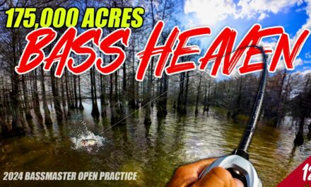 Scott Martin Pro Tips – 175,000 Acres of BASS HEAVEN – Bassmaster Open Santee Cooper (Practice) – UFB S4 E12