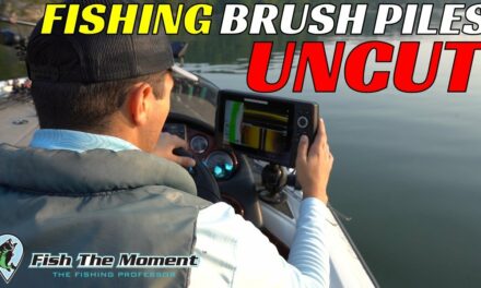 2 Hours of Brush Pile Fishing For Offshore Bass | Side Imaging, Down Imaging, Livescope, Mapping