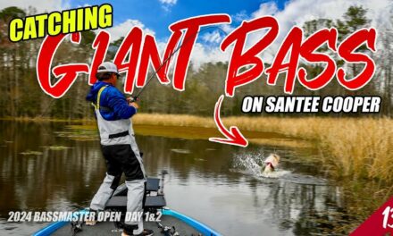 Scott Martin Pro Tips – Catching GIANT BASS on Santee Cooper Lakes! – Bassmaster Open (Day 1&2) – UFB S4 E13 – (4K)