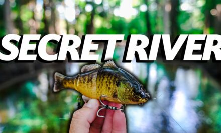 Lawson Lindsey – Fishing a Secret Pristine Florida River