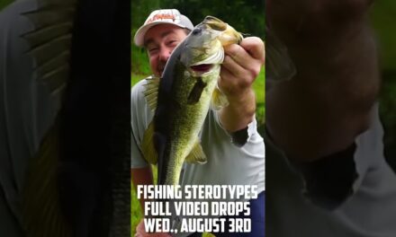 Last teaser for fishing stereotypes. Vid premieres tomorrow! #shorts