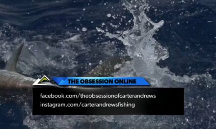 The Obsession of Carter Andrews – ONLINE PROMO YouTube-Vimeo HD 720p