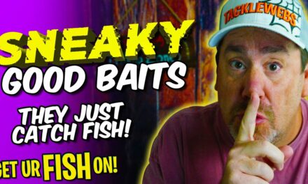 Sneaky Good Bass Fishing Lures – Beginner Fishing Bait Tips