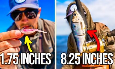 Lawson Lindsey – Tiny Lures in Saltwater vs Giant Lures in Freshwater – What Works Best?
