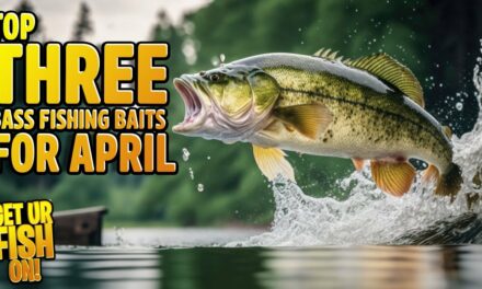 Top THREE Bass Fishing Baits to CATCH GIANT Fish in April
