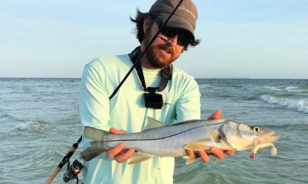 Salt Strong | – 5 Tips To Catch Snook From The Beach This Summer