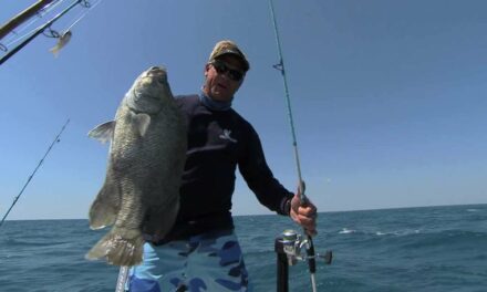 Blair Wiggins Flats Blue Inshore Fishing Rod – 7 foot 2 inch