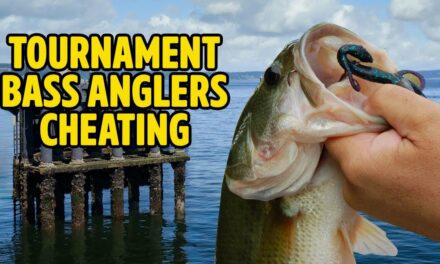 EXPOSED Bass Fishing CHEATERS Caught Stringing Bass to Barge Slip