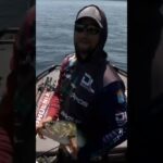 Bassmaster – Felix salvaging his day with a late 5 pounder
