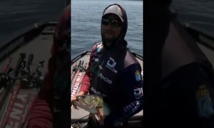 Bassmaster – Felix salvaging his day with a late 5 pounder