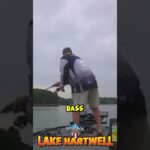 Isaac Peavyhouse NPFL angler catching a bunch of bass #shorts