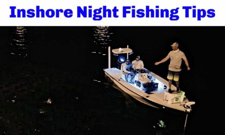 Salt Strong | – The Top 3 Lures For Inshore Night Fishing (And How To Find Fish At Night)