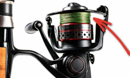 Salt Strong | – This Is The Amount Of Braided Line You Need On Your Spinning Reel