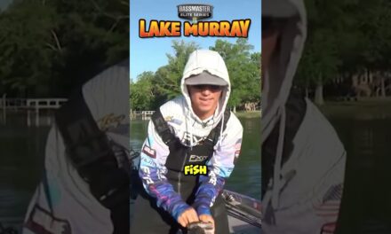 Trey McKinney Topwater bass fishing and catching ‘em!! #shorts