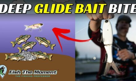 Feeding Frenzy 20ft Deep On Glide Baits! | Winter Glide Bait Fishing Tips and Tricks