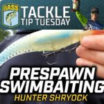 Bassmaster – Substituting a Swimbait in the Prespawn